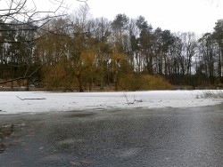 Przedwiośnie