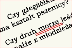 Szkolny Konkurs Ortograficzny